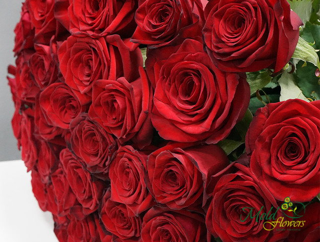 51 Trandafiri roșii olandezi 60-70 cm foto